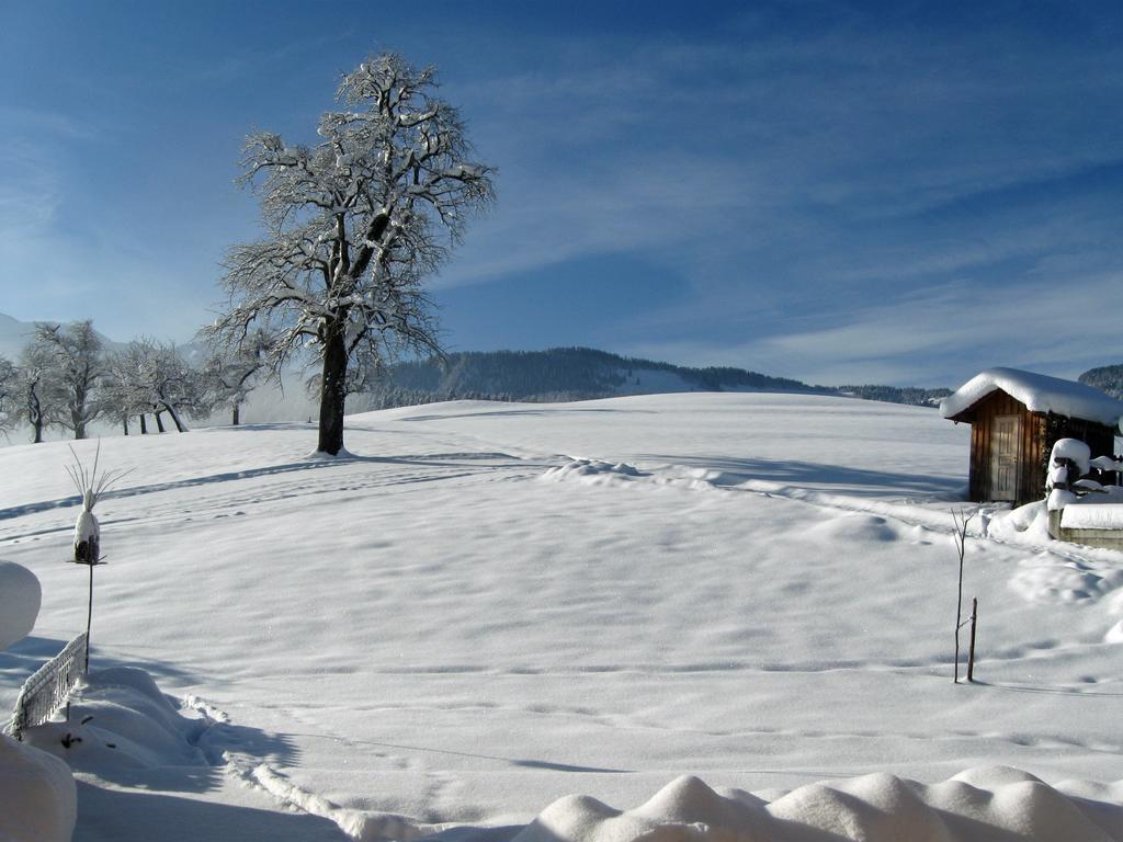 Schweizer Hof Villa Schwarzenberg im Bregenzerwald Luaran gambar