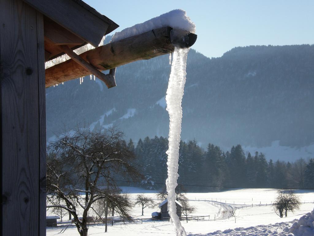 Schweizer Hof Villa Schwarzenberg im Bregenzerwald Luaran gambar